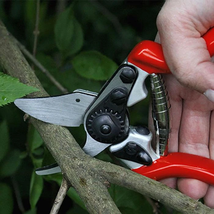 Darlac Expert Fine Bypass Pruner DP1034 - Image 2