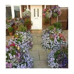 Hanging Basket Watering KIt Large